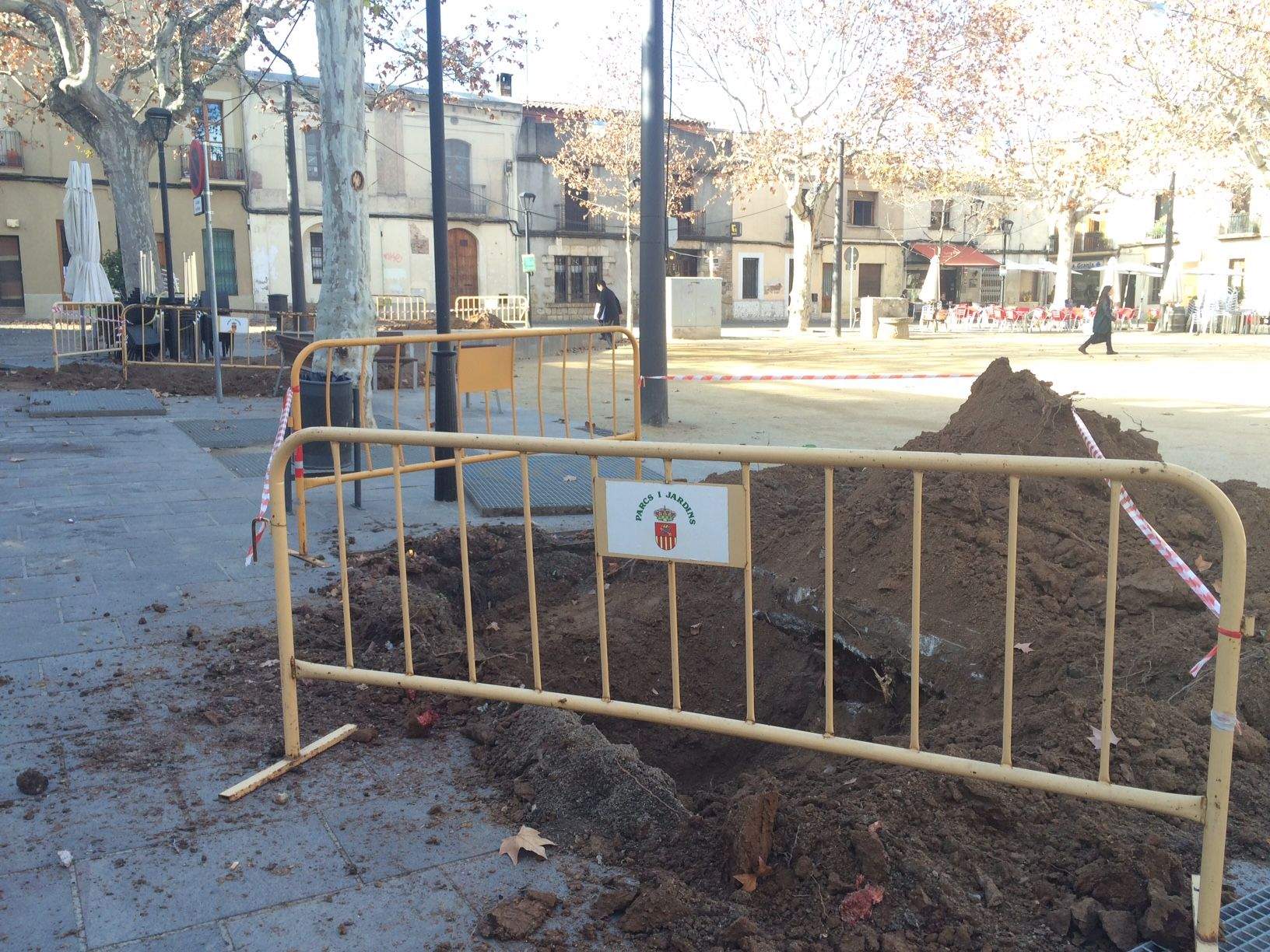 Actualment s'ha retirat la terra dels escocells per replantar els arbres. FOTO: M. Sagalés