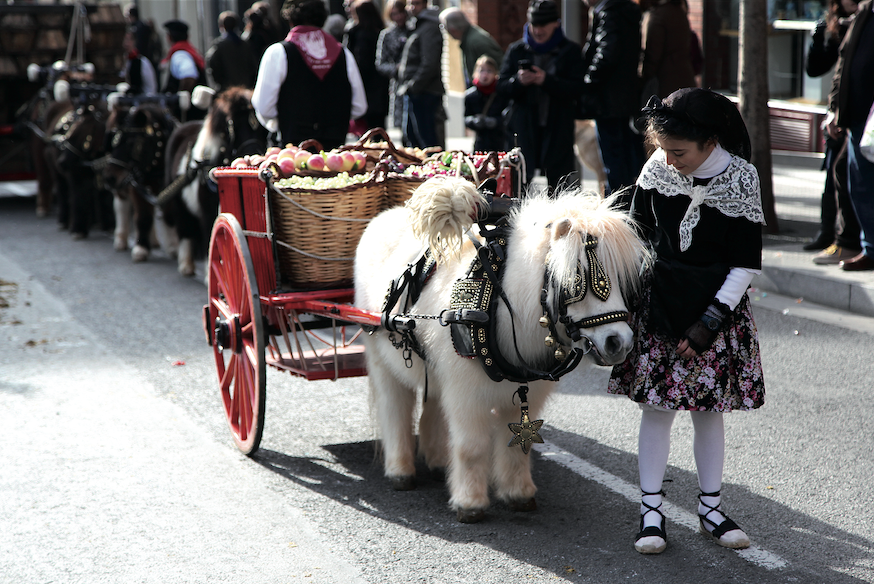 Els Tres Tombs, activitat estrella del cap de setmana. FOTO: Lali Puig