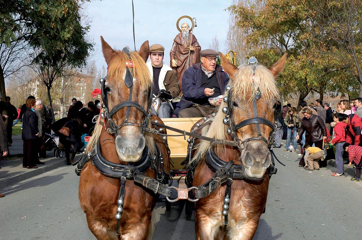 Sant Antoni a la ruan de Sant Antoni, als carrers de Sant Cugat. FOTO: Artur Ribera