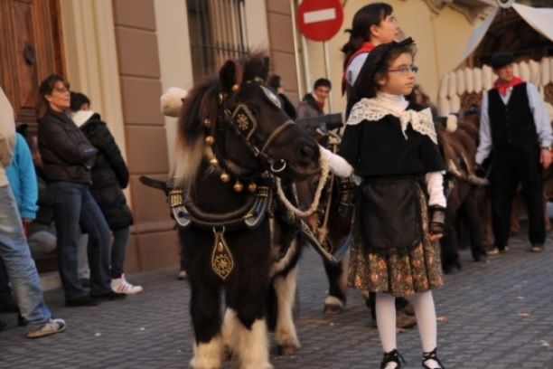 Aquest diumenge se celebra Sant Antoni a la ciutat. FOTO: Amanda Bernal