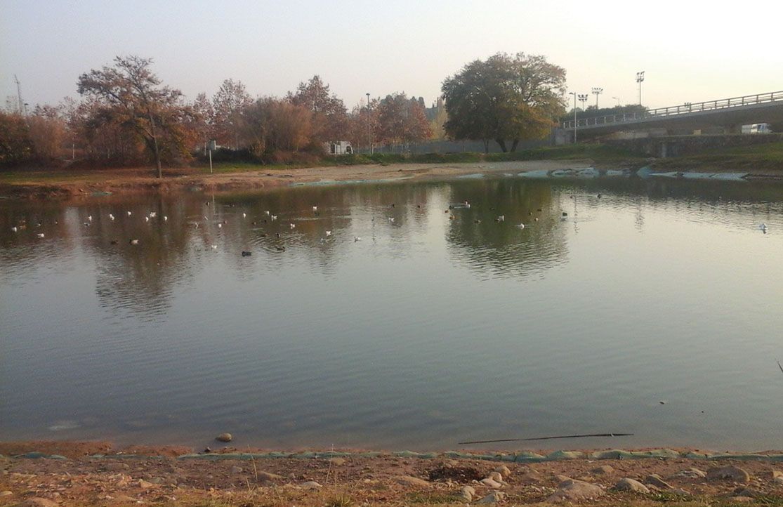 El llac urbà fa força pena. FOTO: Arnau Navarro Martínez