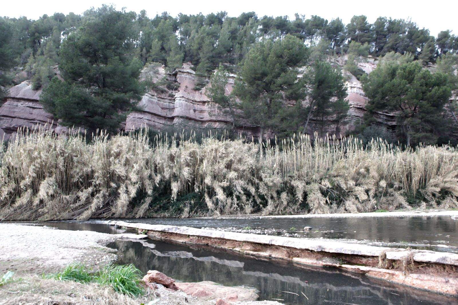 Riera de Rubí al seu pas per el terme de St. Cuagat (Can Calopa). FOTO: Artur RIbera