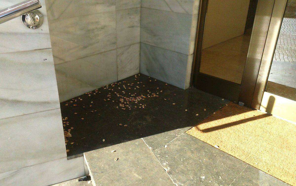 Els festucs. FOTO: Cedida