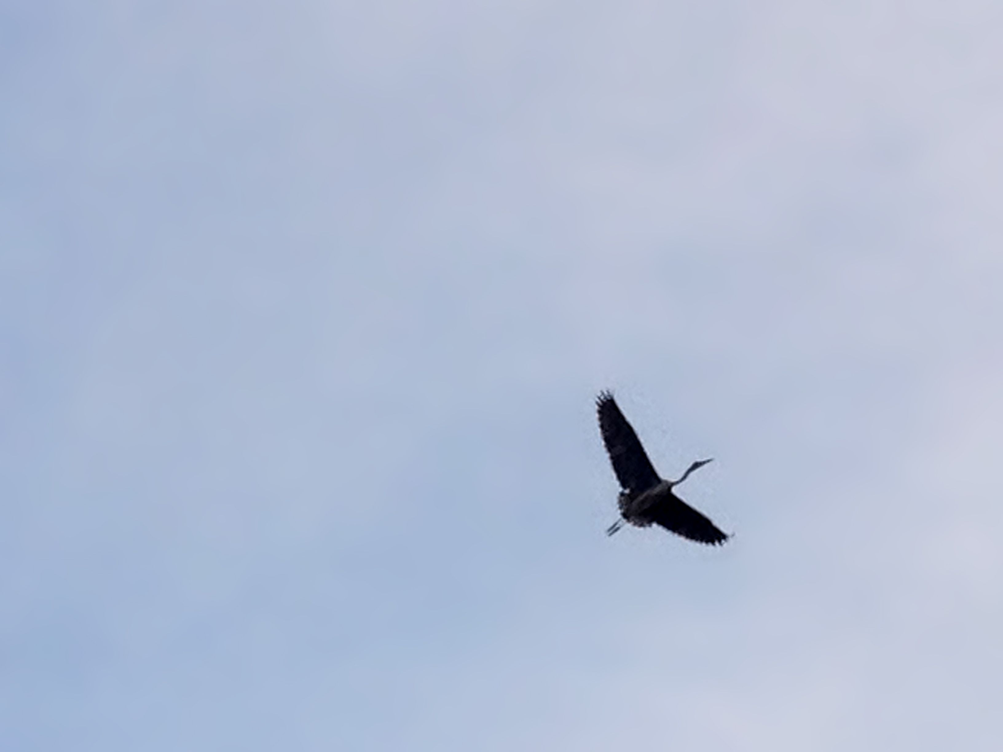 La visita del Bernat pescaire. FOTO: Artur Ribera
