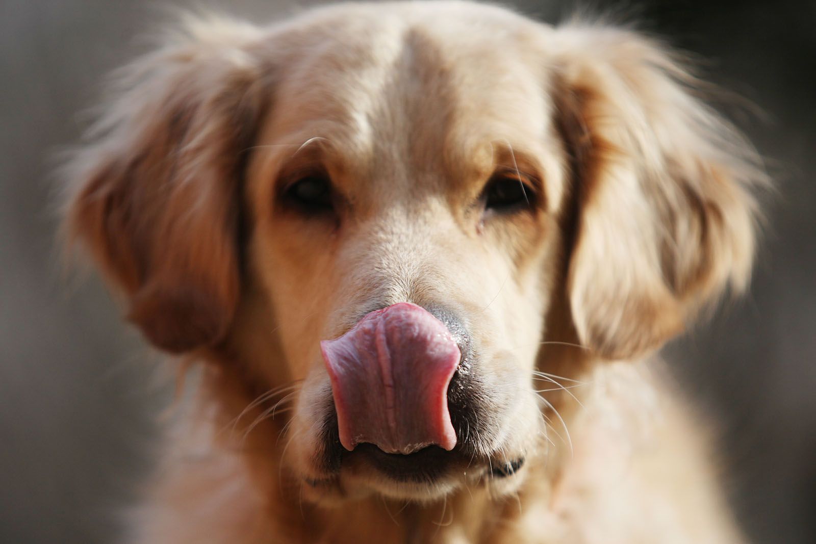 Amb ganes de cap de setmana. FOTO: Lali Puig