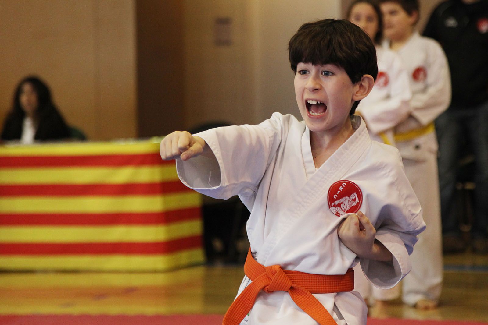 L'exhibició s'ha desenvolupat en el format de 'kata'. FOTO: Lali Puig