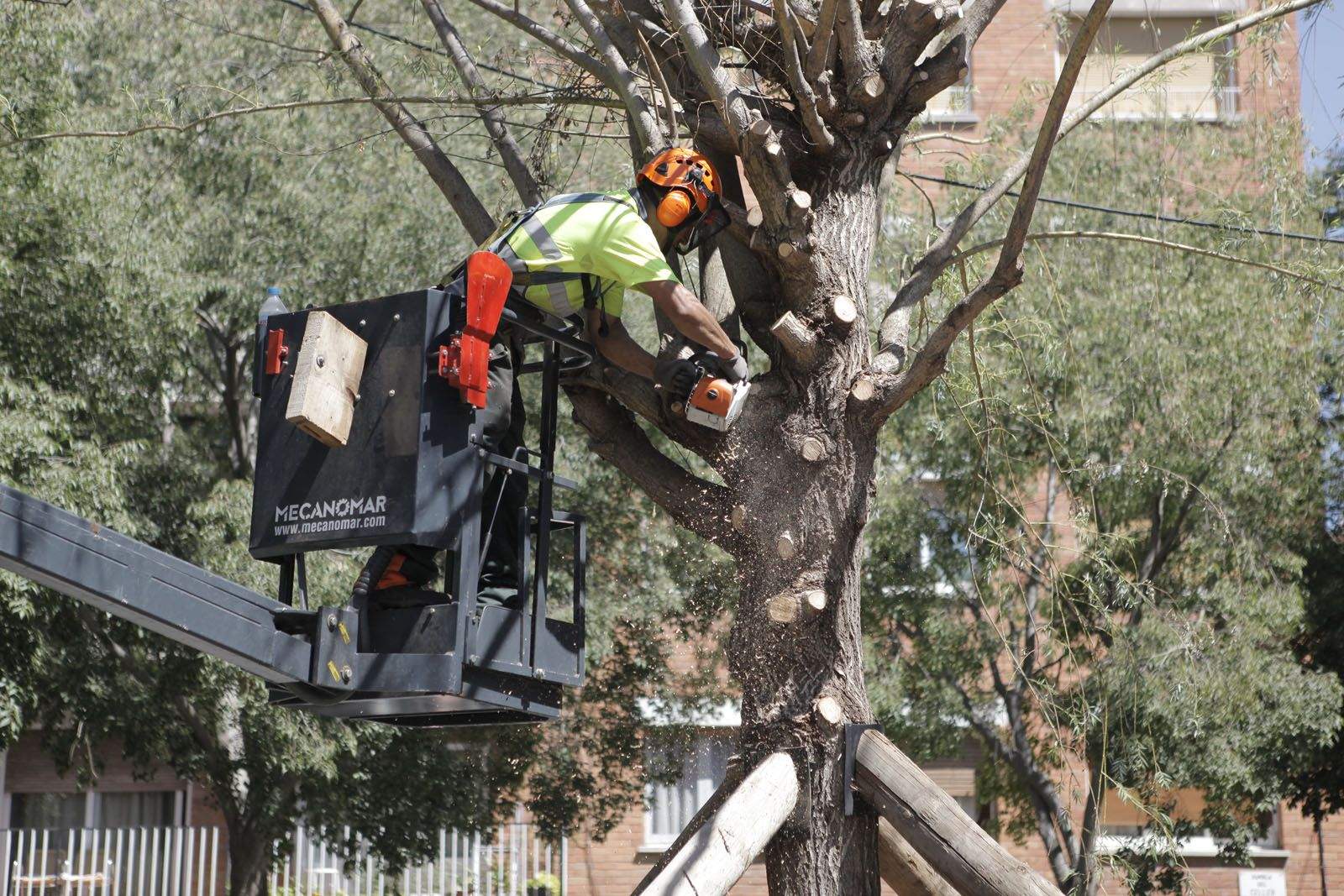 La campanya s'allargarà fins a l'abril FOTO: Artur Ribera