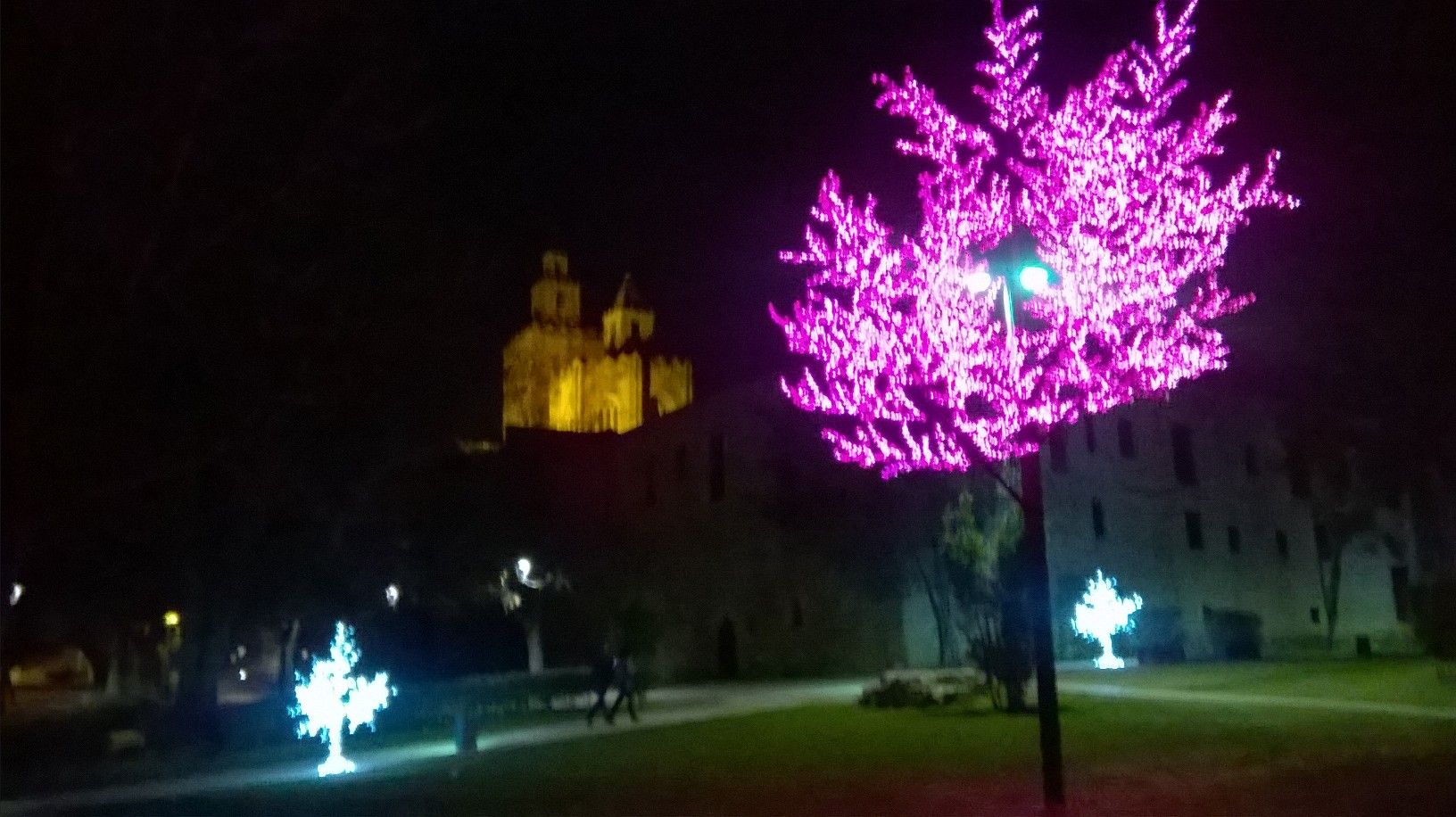 Manuel Foncubierta López