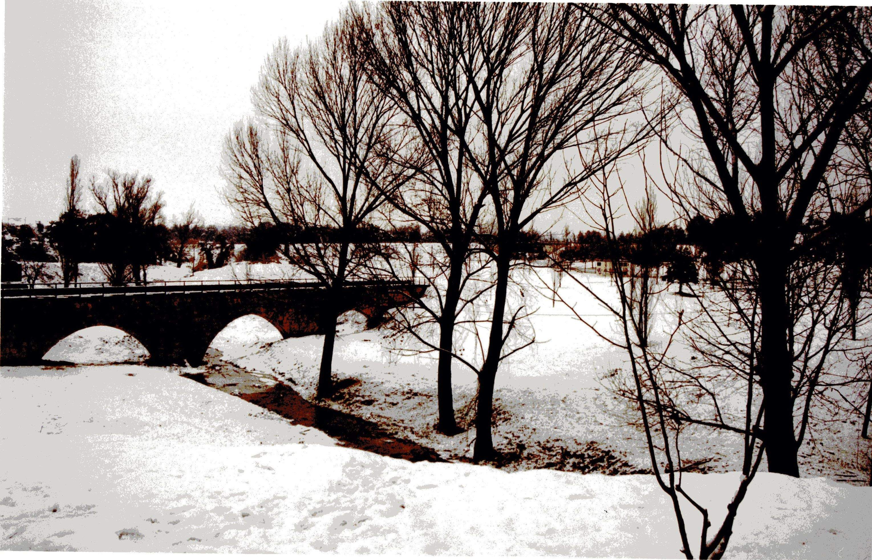 Francesc Morell i Miró