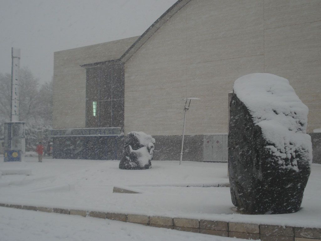 Jose Ramon Gomez Pellicer