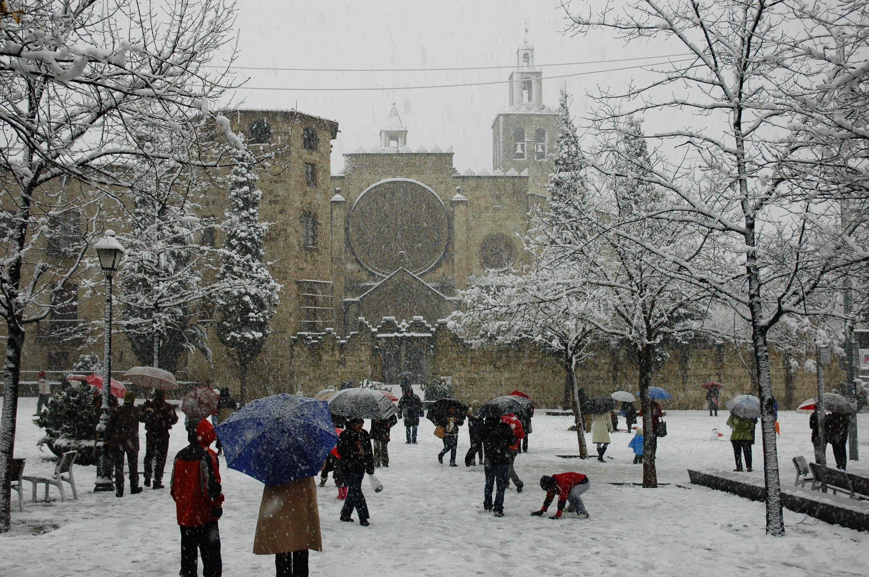 Maria Luz Coello Lozano