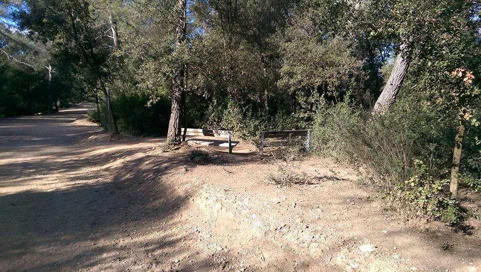 Lloc on passejava el gos FOTO: Cedida