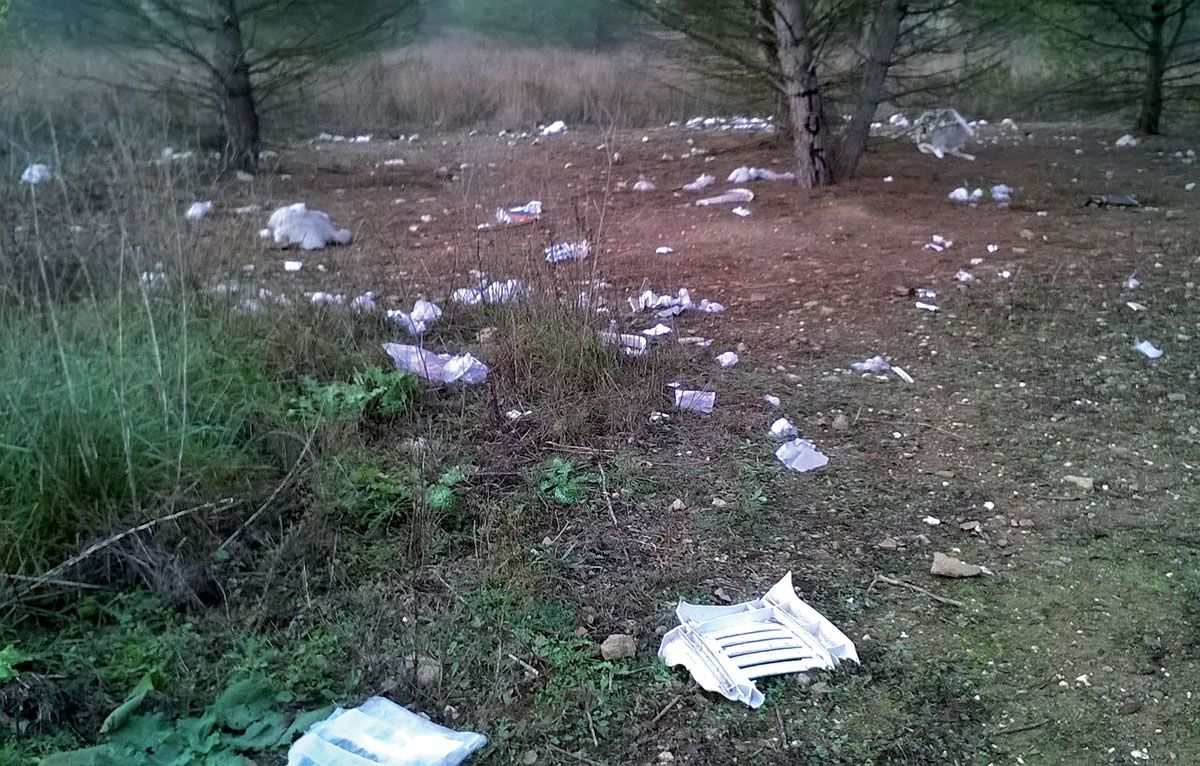 L'estat del bosc. FOTO: Carme Rubio