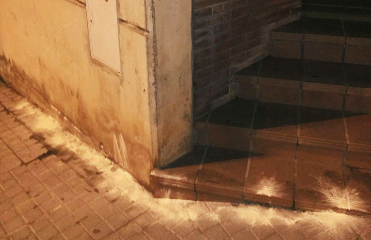 Sofre a les cantonades del carrer FOTO: Juanjo Pardo