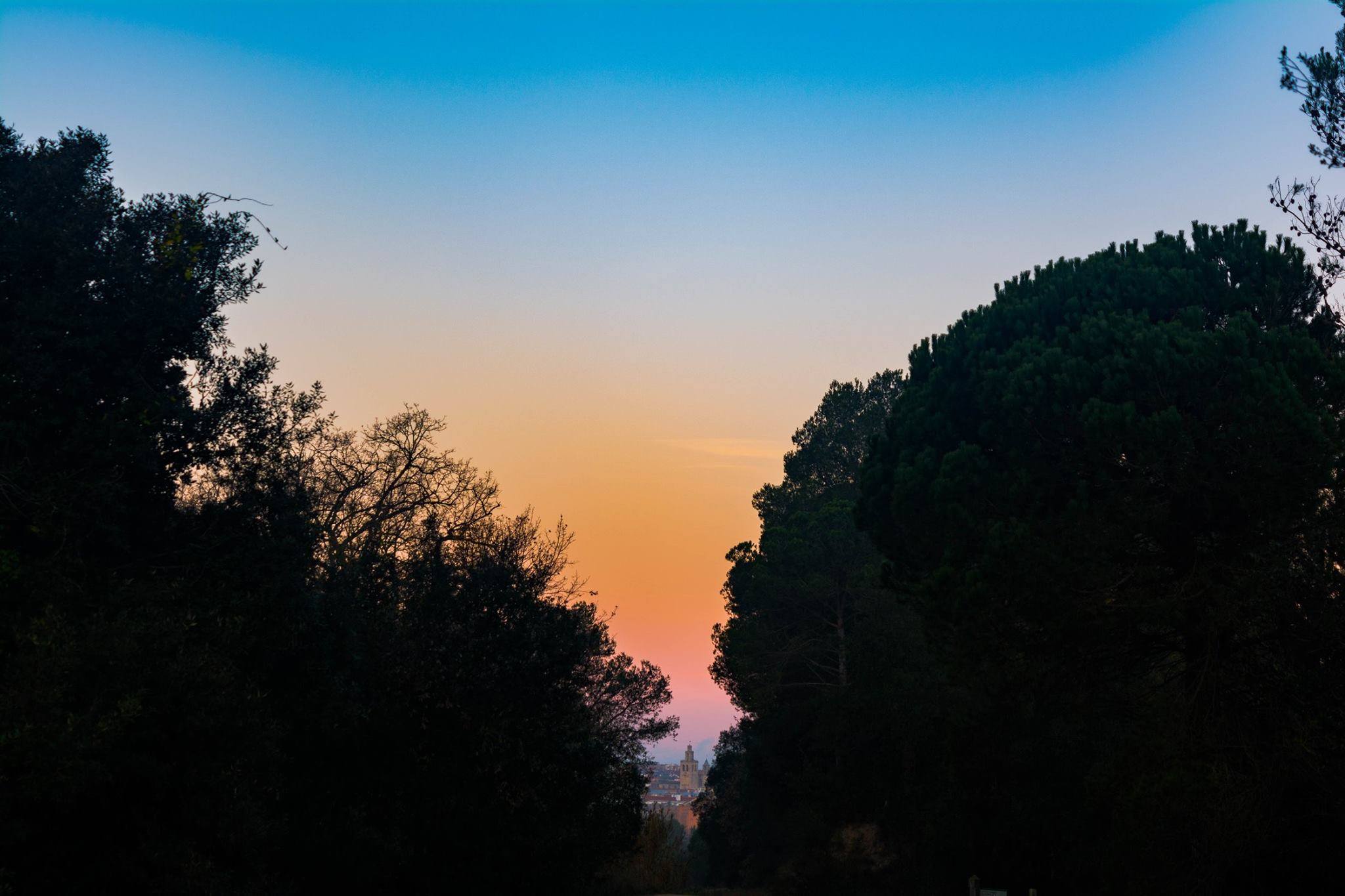 El Monestir des de Collserola. FOTO: Jair Orozco Cordoba