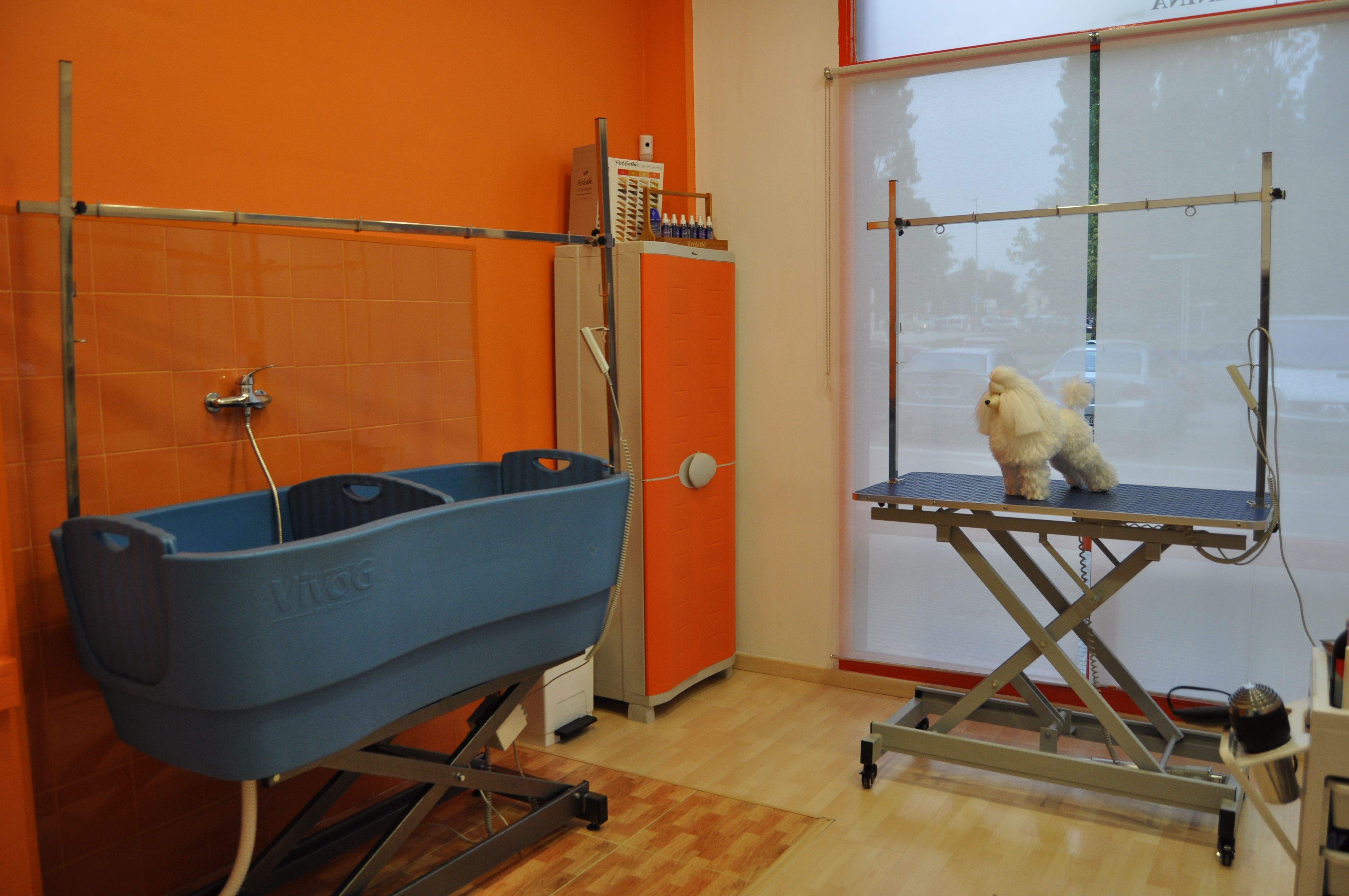 A Vida de Gos compten amb la millor maquinària per a realitzar totes les tasques FOTO: Cedida 