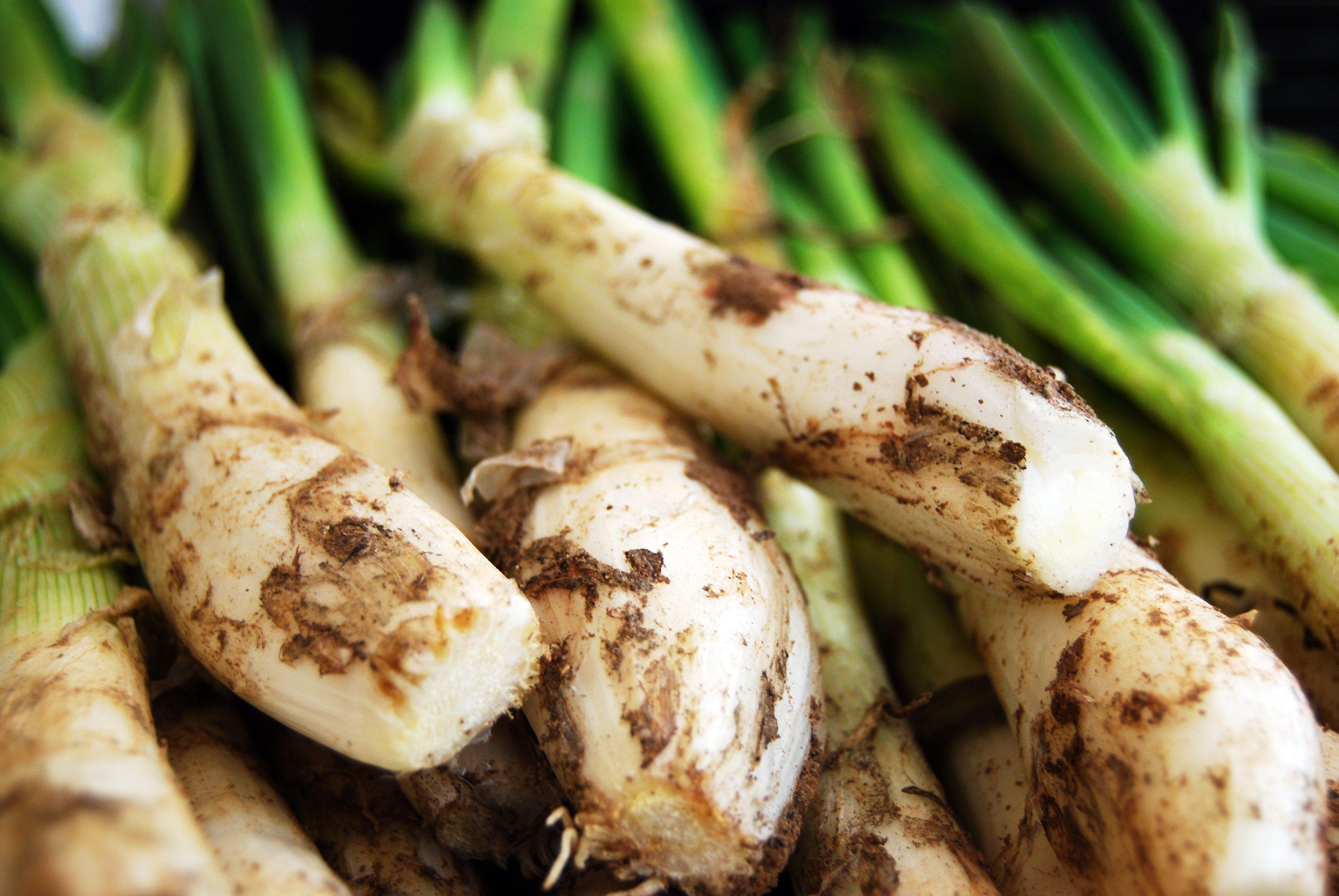 Prepara't: és època de calçotades! FOTO: Cedida