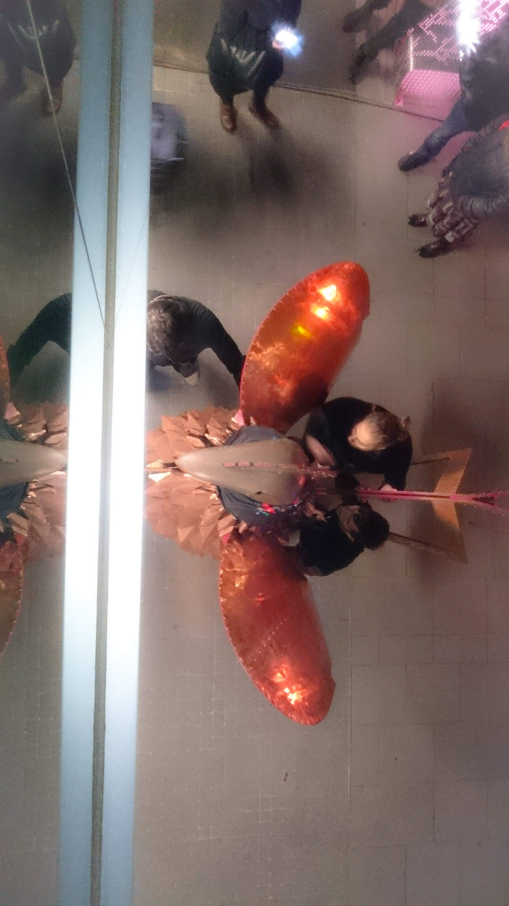 Verònica Vall Martín