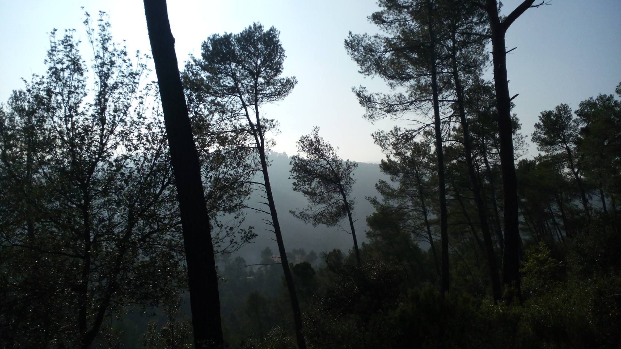 Dia de boira a la Colònia Montserrat. FOTO: Bernat Bella 