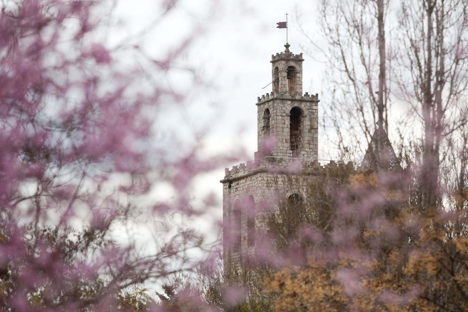 Colors en un dia gris. FOTO: Lali Puig