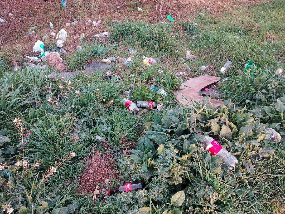 Brutícia que s'acumula a l'entorn del carrer de Can Solà FOTO: Ciutadans