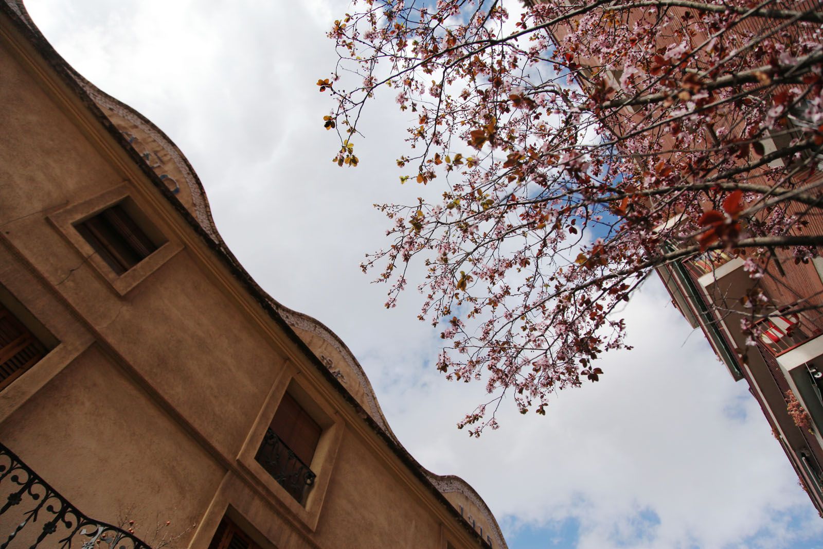 Després de la pluja al carrer Xerric. FOTO: Lali Puig