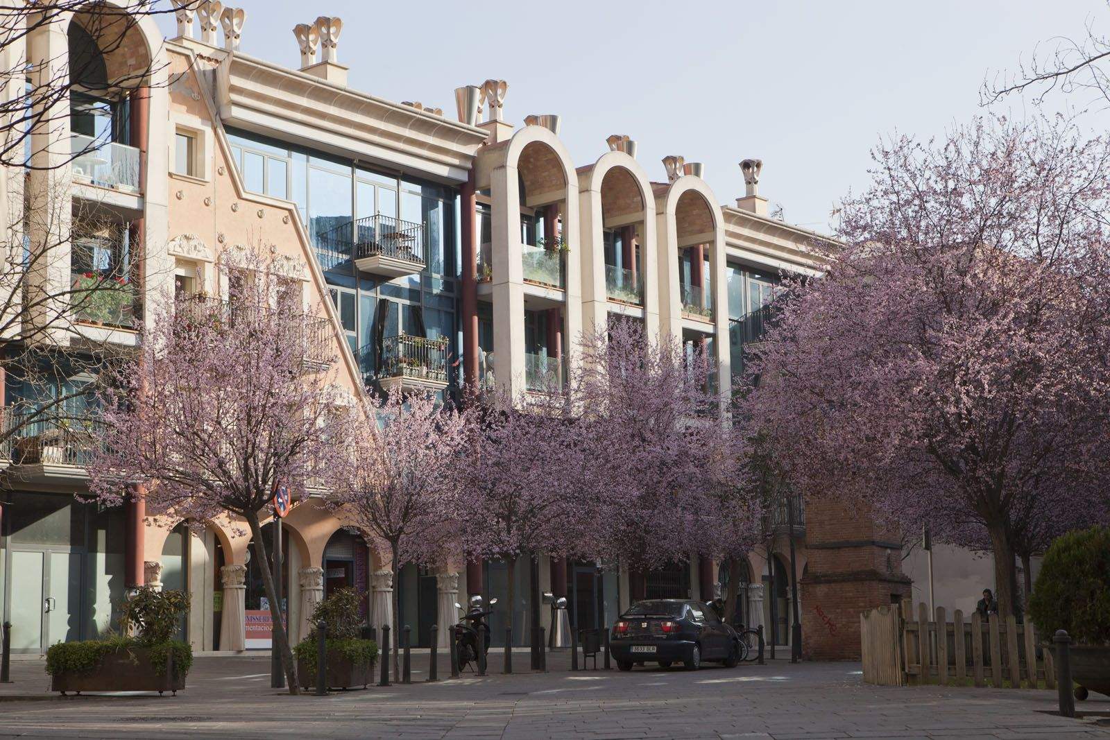 La primavera ja comença a aflorir a Sant Cugat FOTO: Artur Ribera