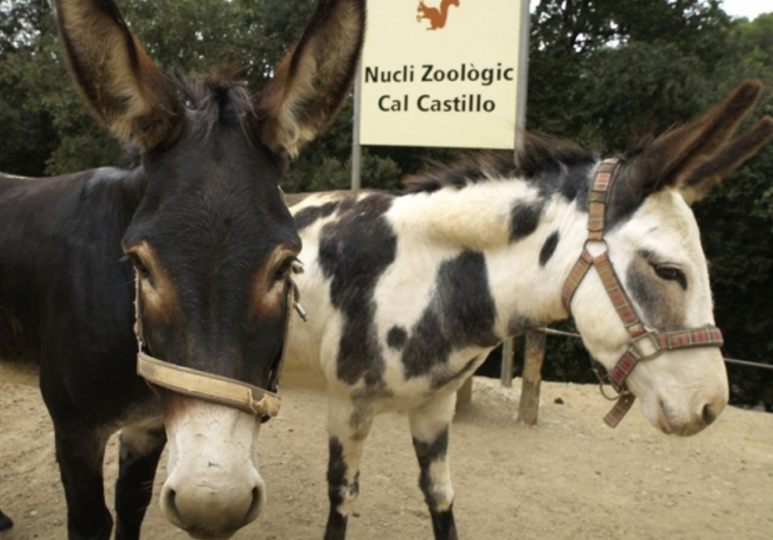 Entrada del nucli zoològic de Cal Castillo. FOTO: Artur Ribera