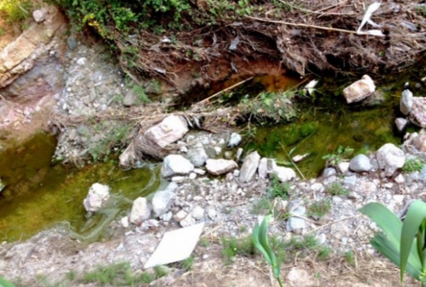 Imatge de la Riera de Mas Gener FOTO: Cedida