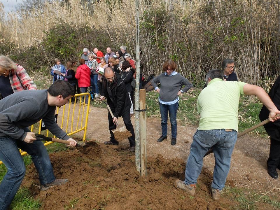 Aquesta iniciativa està relacionada amb el Dia Internacional dels Boscos, el 21 de març FOTO: VVPV