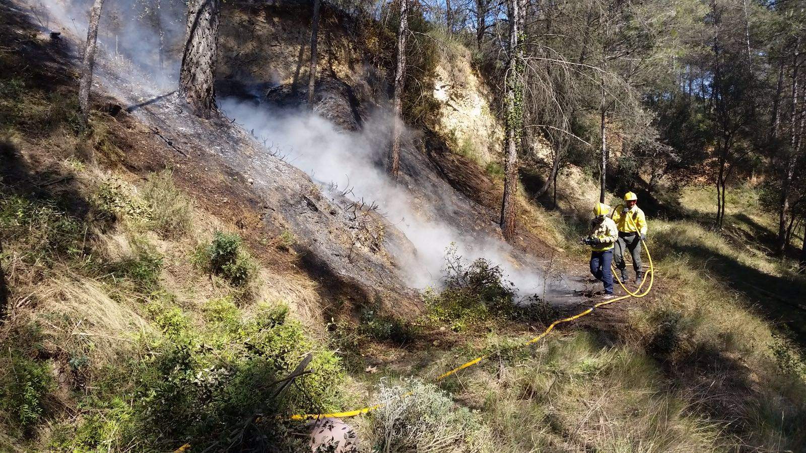 El foc ha cremat 300 metres quadrats  FOTO: Cedida