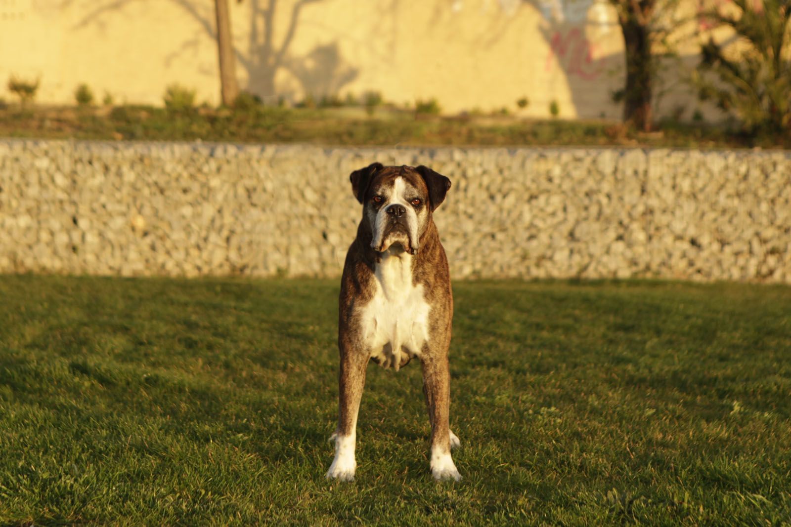 Bup bup! Passejant per Volpelleres FOTO: Artur RIbera
