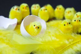 És tradició decorar les mones de xocolata amb pollets o altres ninots FOTO: Cedida