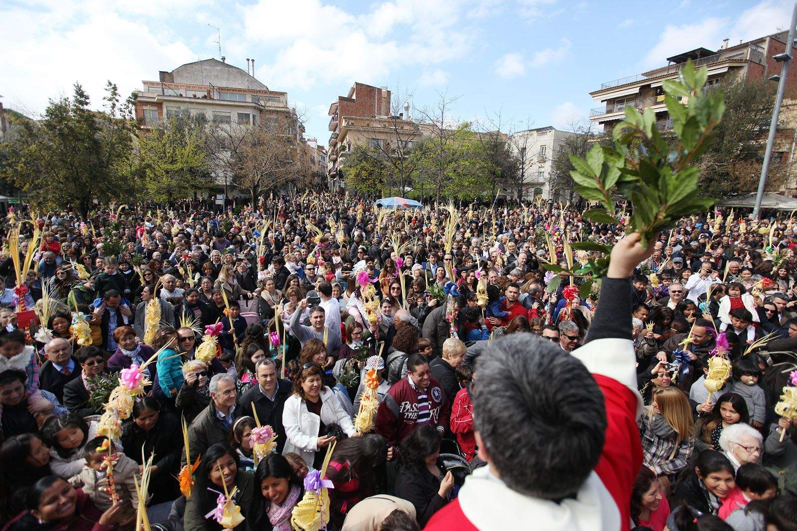 Benedicció de Rams a la Plaça d’Octavià. FOTOS: Lali Puig