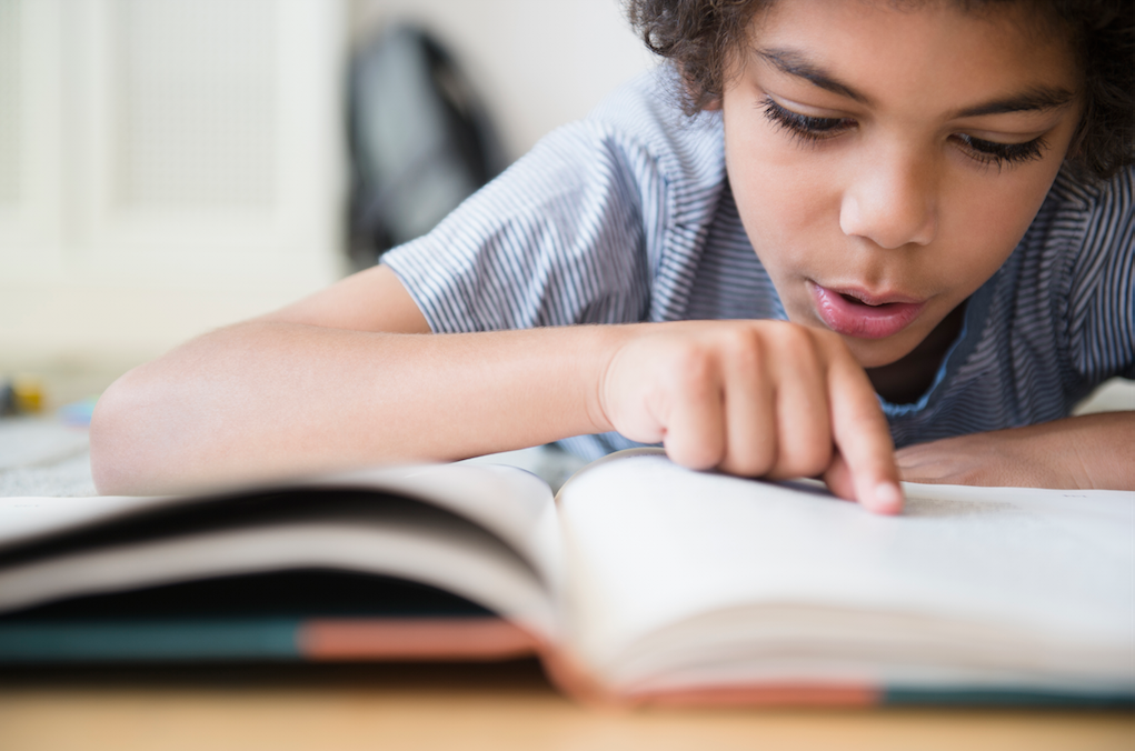 Hi ha tres sistemes involucrats en la lectura FOTO: Cedida 