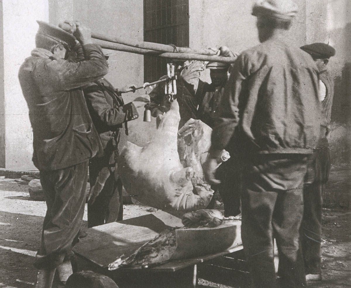 Pesant el porc a Can Domènec als anys vint   Foto: Joan Amat Ribatallada Foto: Arxiu