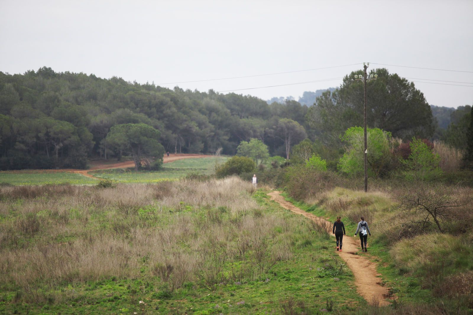 Passeig en un dia gris   FOTO: Lali Puig