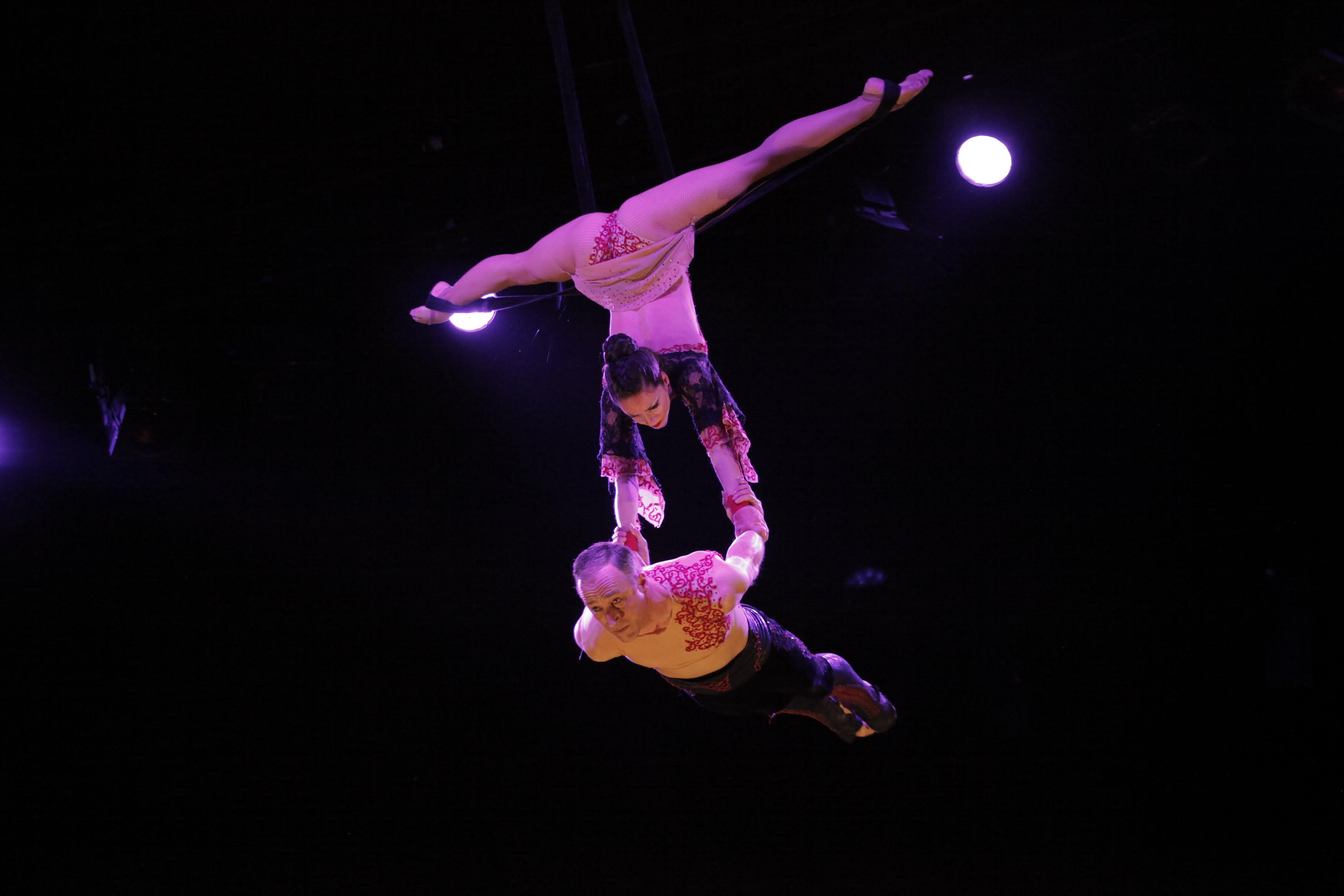 El Circ Raluy porta donant voltes pel mon des dels anys 70 FOTO: Artur Ribera