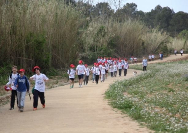 La Marxa Infantil aplega milers d'infants santcugatencs cada any pels boscos de Collserola FOTO: Lali Puig 