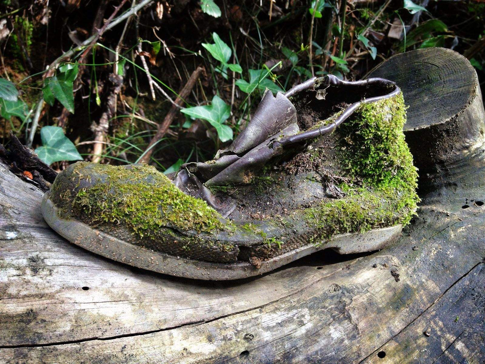 41°27'43.3"N 2°06'59.5"E    FOTO: Artur Ribera