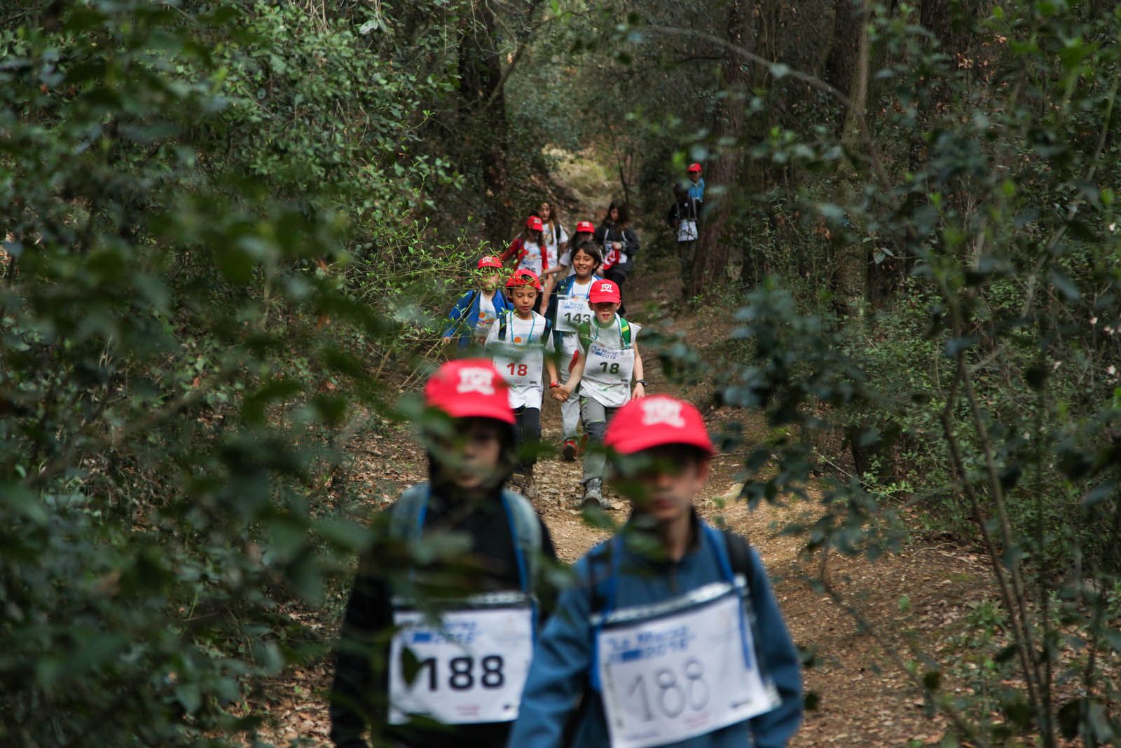Gorres vermelles per Collserola   FOTO: Lali Puig