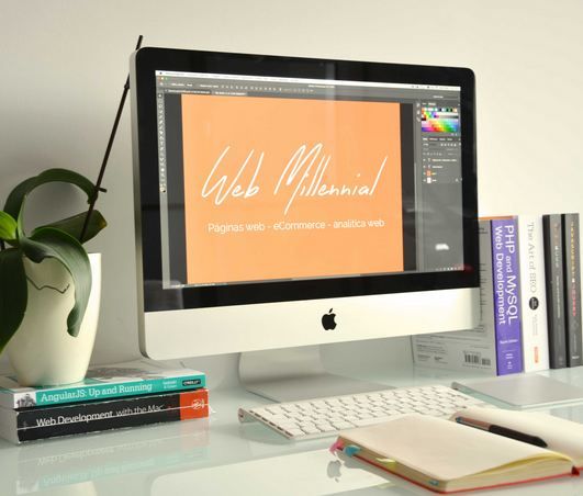 A Web Millennial t'assessoraran per fer visible el teu negoci a través de la web FOTO: Arxiu