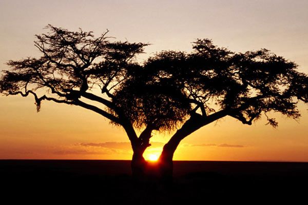 Aquesta serà la darrera sessió sobre el tema de viatges; és el torn de Sud-Àfrica. FOTO: Cedida