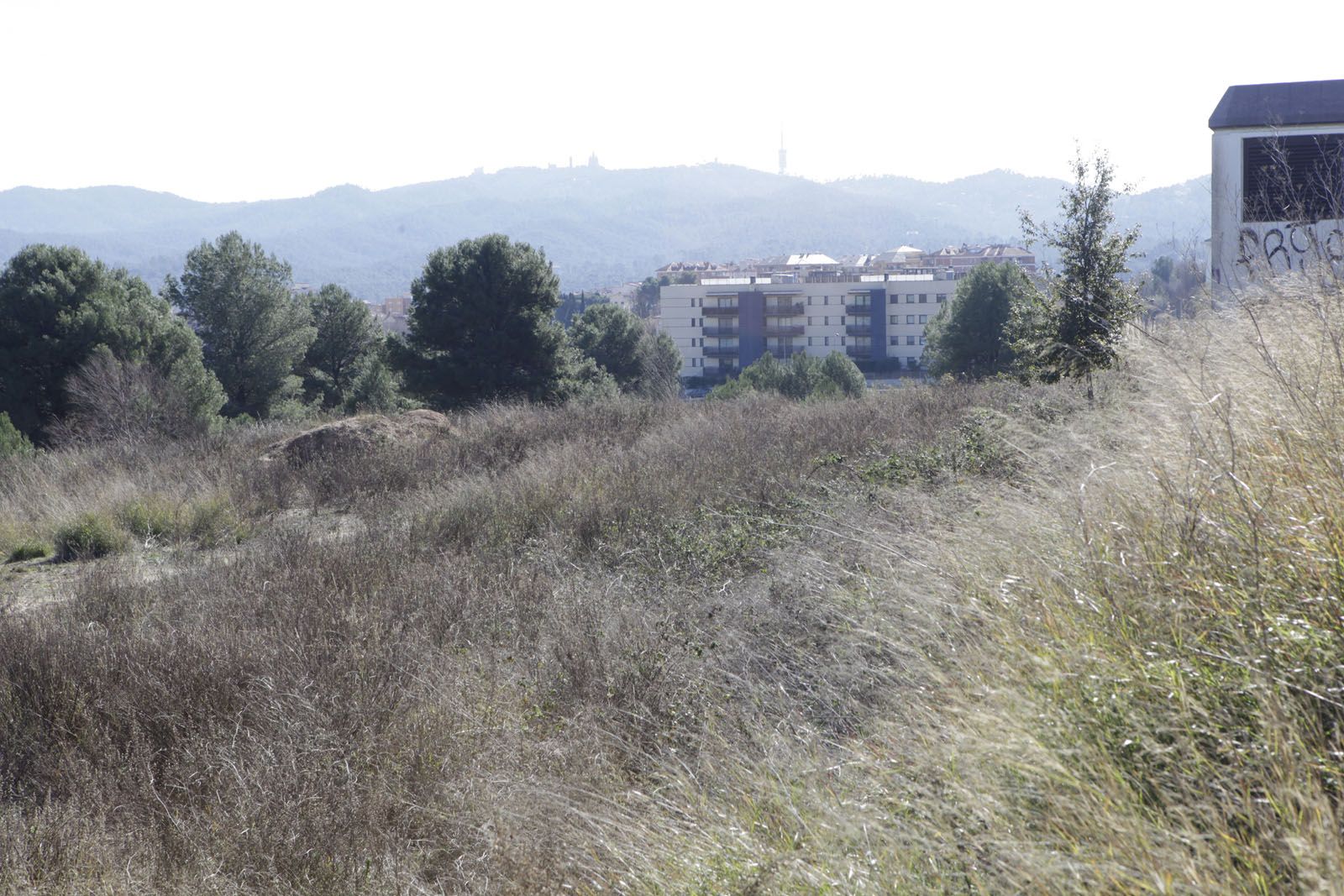 Lloc on es construirà l'escola FOTO: Artur Ribera 