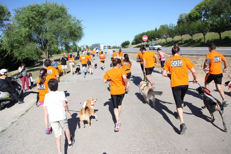 En l'edició del 2015 hi van participar 150 tàndems FOTO: Lali Puig