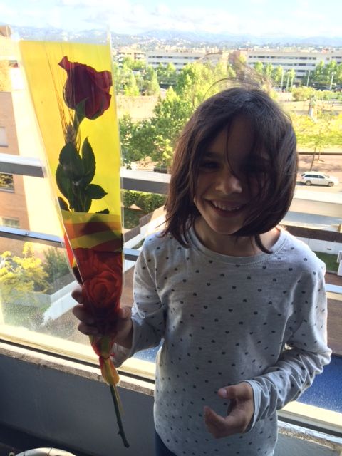 Jordi Fernandez Martinez  1