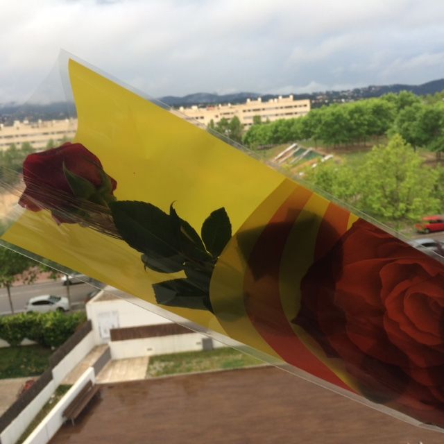 Jordi Fernandez Martinez