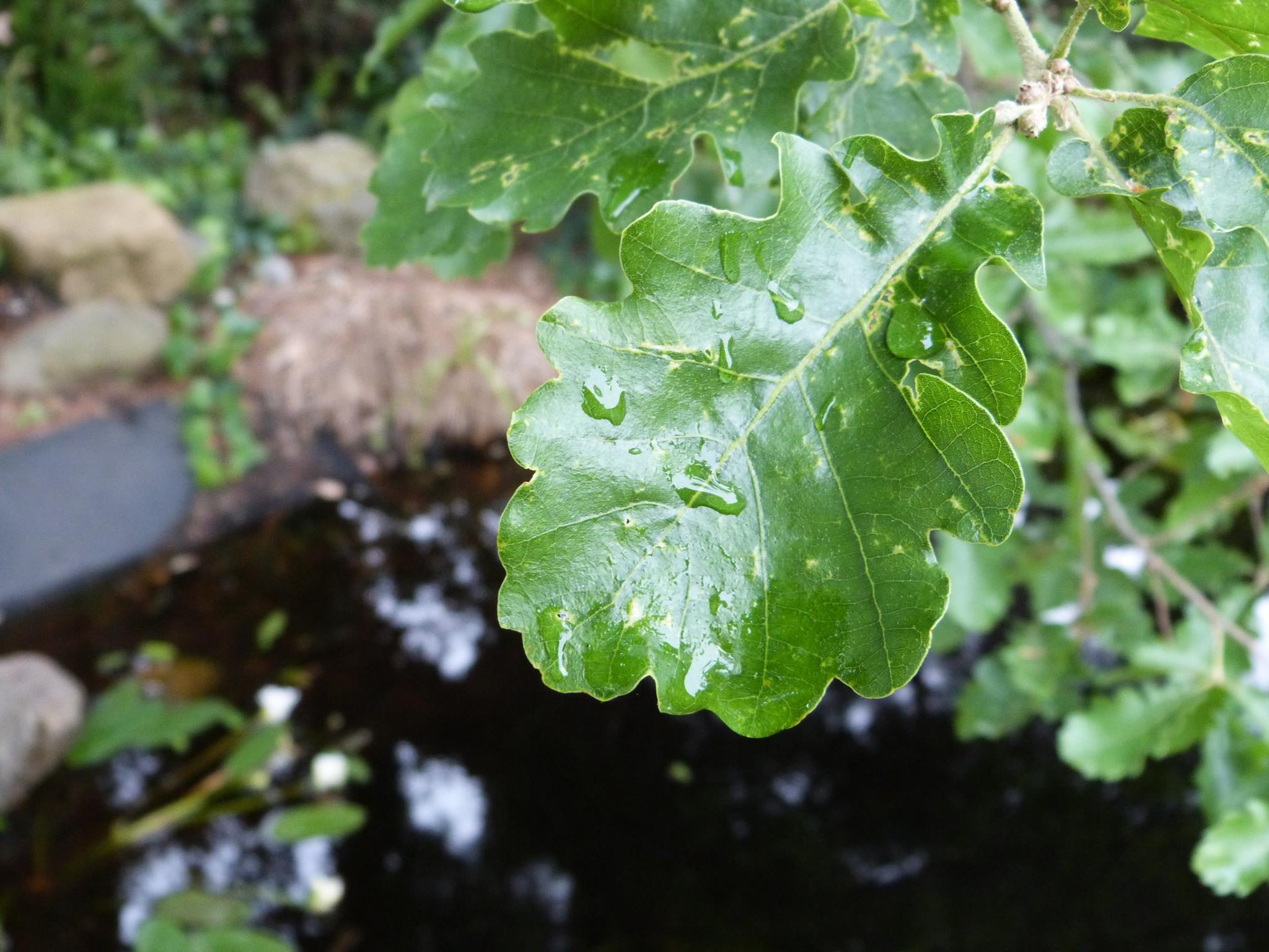 Calma de tempesta FOTO: Bernat Bella