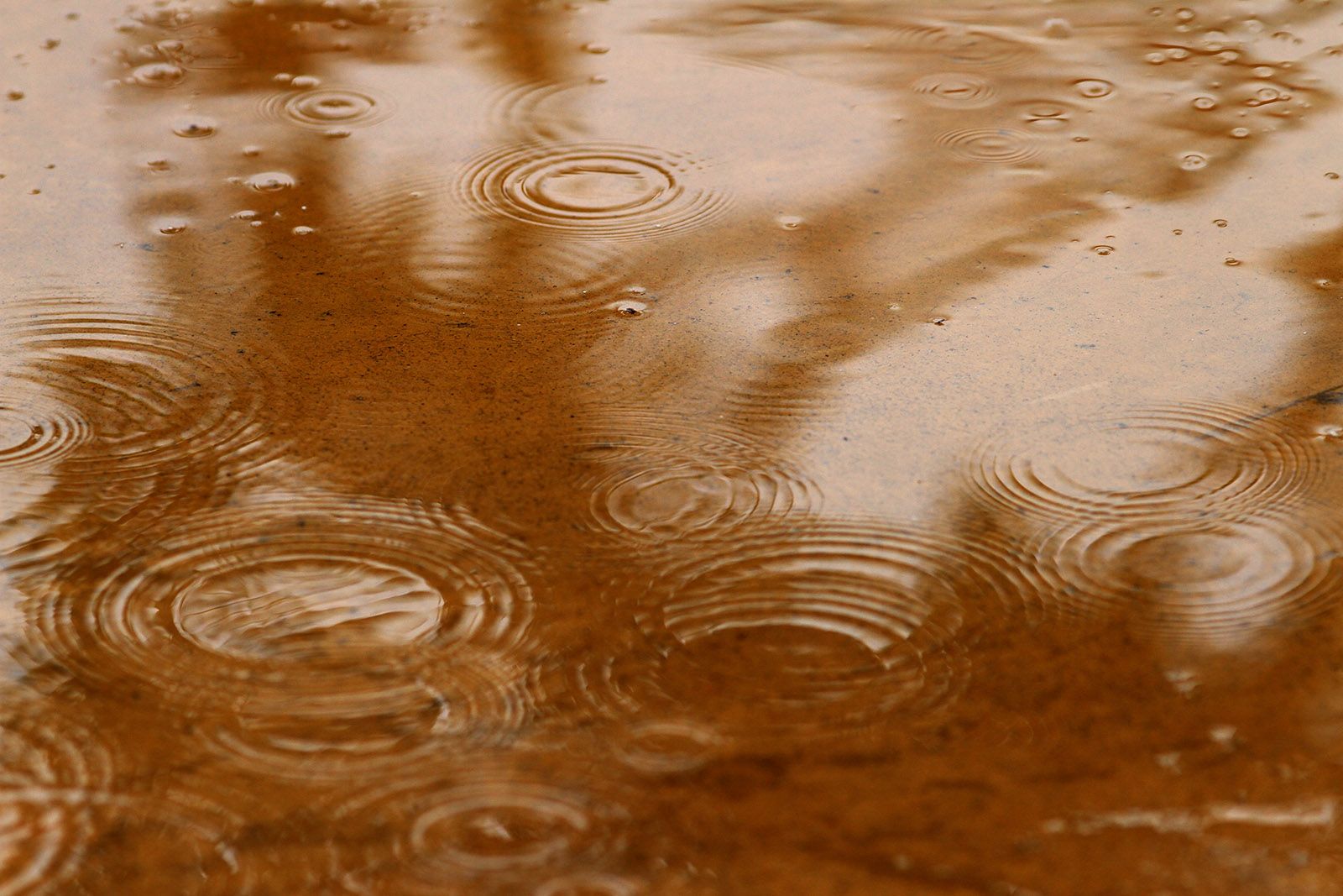 Aquarel.les naturals FOTO: Haidy Blanch