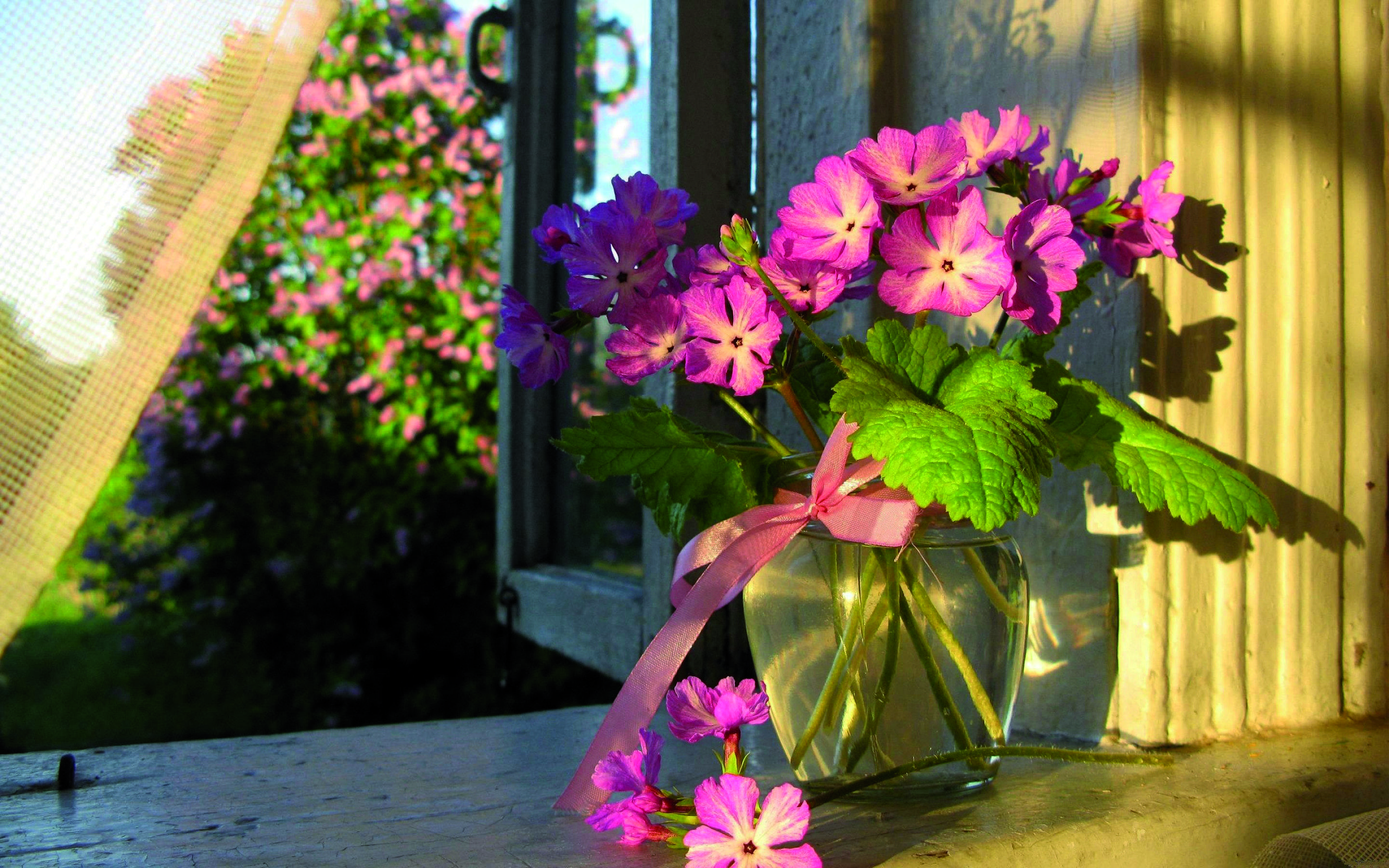 Si el sol toca el gerro, les flors es moriran en 2 dies